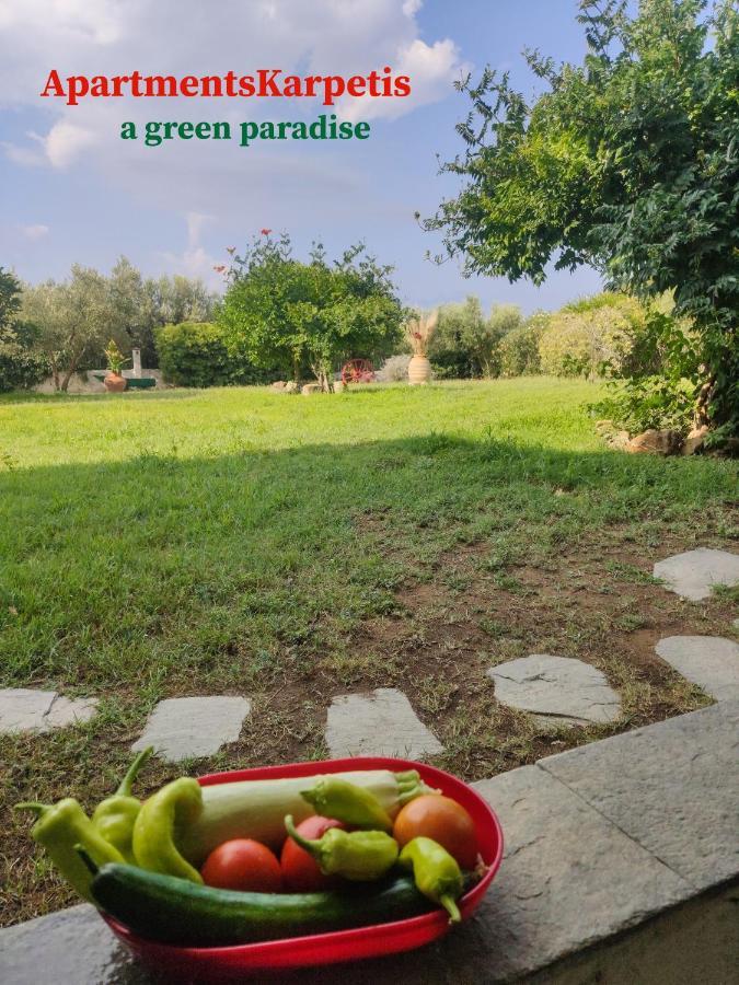 Apartments Karpetis A Green Paradise Псакудия Экстерьер фото